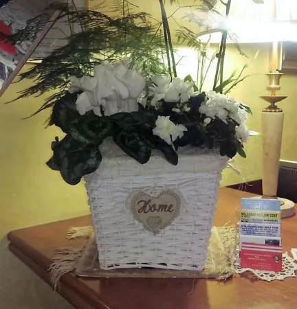 Hotel Olympic 3*
